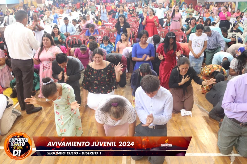 Imagen 4