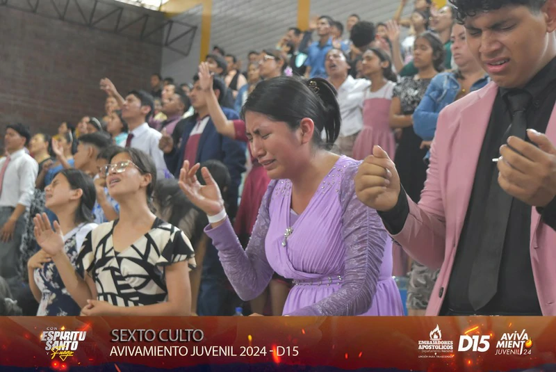Imagen 2