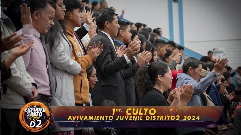 Imagen 2