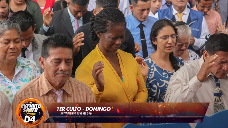 Imagen 4